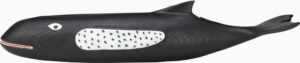5920499000794615531 Eames House Whale