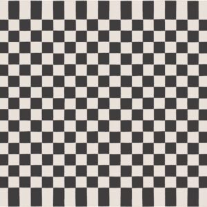 Check Rug by Alexander Girard
