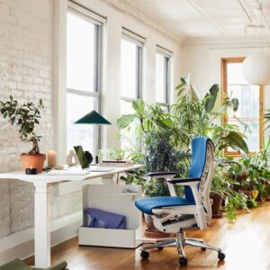 Embody Chair