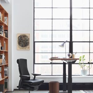 Embody Chair