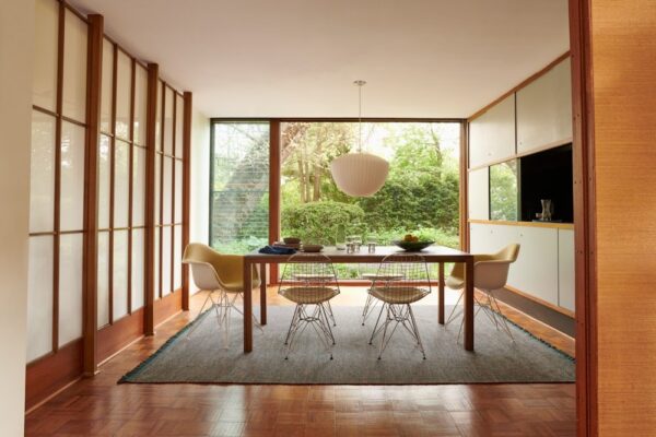 Eames Wire Chair, with Bikini
