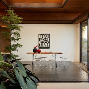 Eames Wire Chair, with Bikini