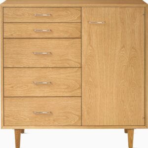 Nelson Basic Cabinet Series - 5-Drawer with Door