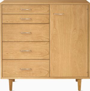 Nelson Basic Cabinet Series - 5-Drawer with Door