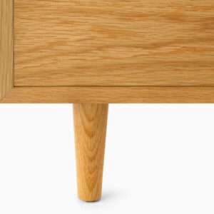 Nelson Basic Cabinet Series - 5-Drawer with Door