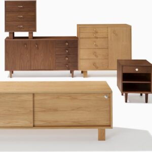 Nelson Basic Cabinet Series - 5-Drawer with Door