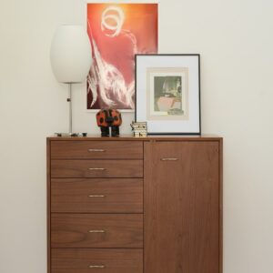 Nelson Basic Cabinet Series - 5-Drawer with Door