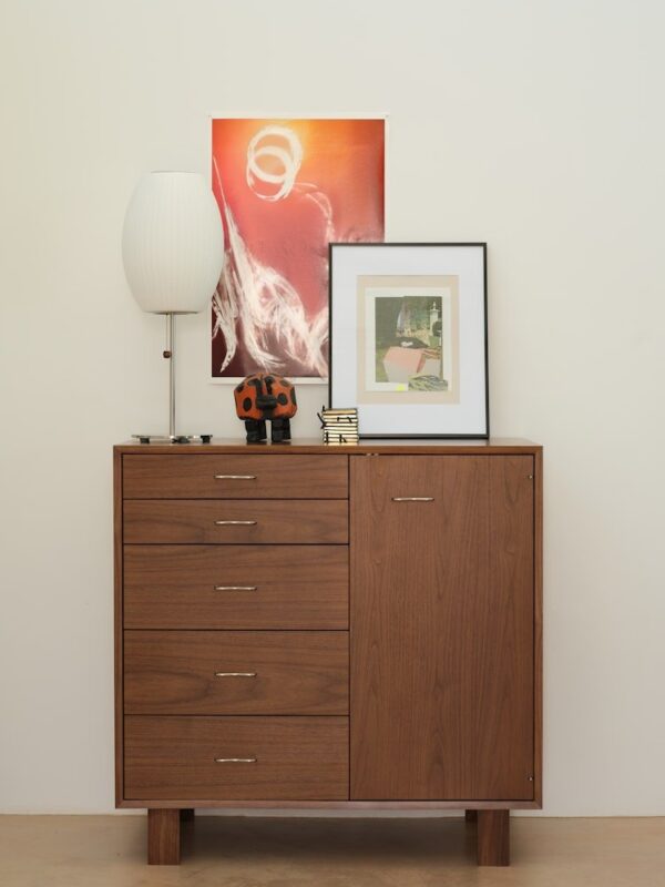 Nelson Basic Cabinet Series - 5-Drawer with Door