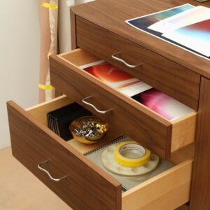 Nelson Basic Cabinet Series - 5-Drawer with Door