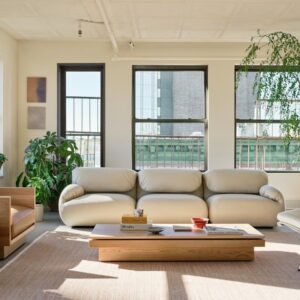 Pawson Drift Lounge Chair