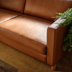 photo_5890951919310671331_y Lispenard Sofa, 3-Seat